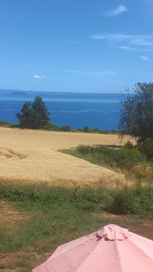 Nuevos departamentos a 40 minutos LAGO RANCO , ubicado en la comuna de La Unión - B&B La Unión