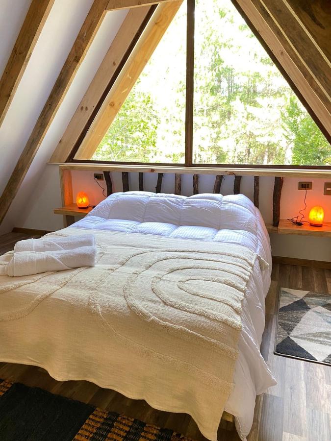Cabañas Ladera Sur Melipeuco - Chambres d’hôtes