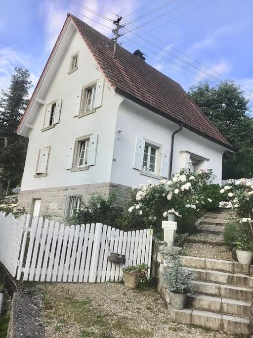 B&B Forbach - Apartment Rose - Bed and Breakfast Forbach