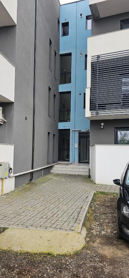 Lotus - Bed and Breakfast Giarmata-Vii