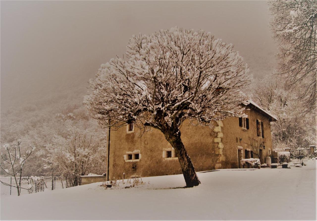 La Maison de Rochebois, chambres et table d'hôtes, Savoie, France - Chambres d'hôtes Champagneux