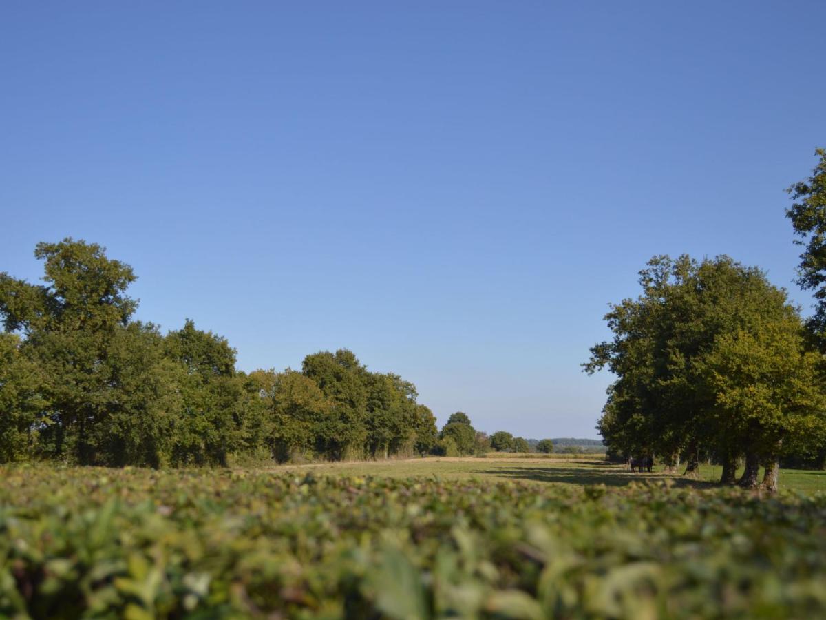 Ancienne ferme rénovée au cœur de la Vallée Noire avec jardin clos, vélos et équipements complets - Chambres d'hôtes Tranzault