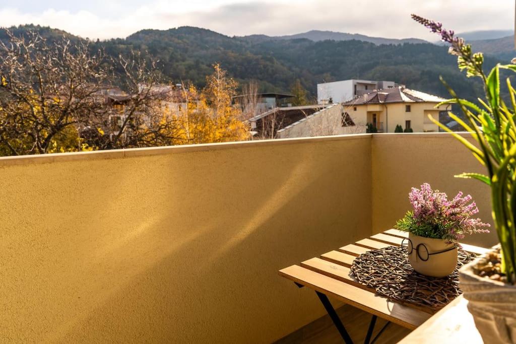 View - B&B