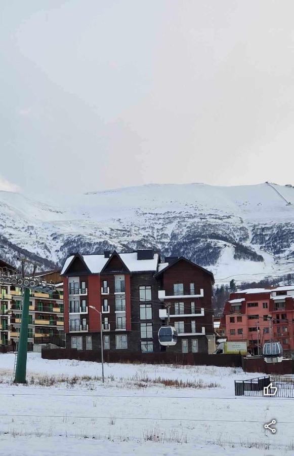 BAKURIANI High Line - B&B Bakuriani