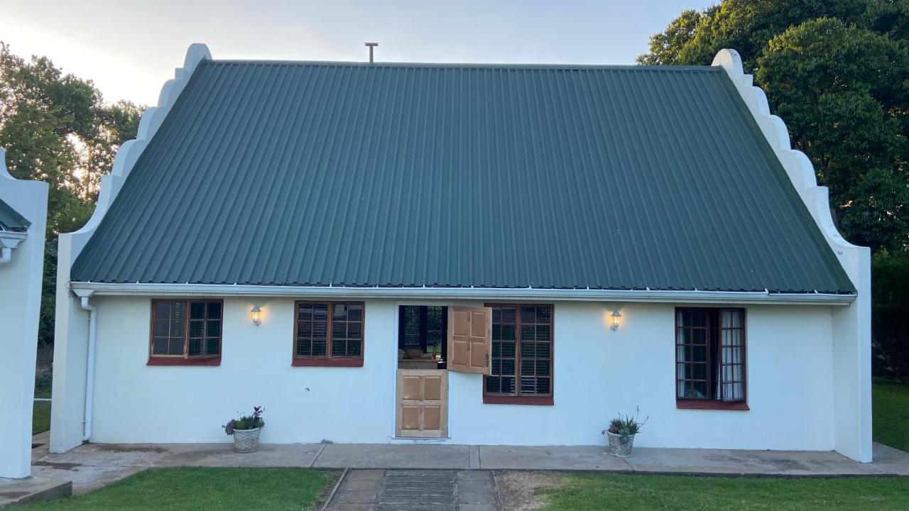 Cape Chameleon - B&B Nottingham Road