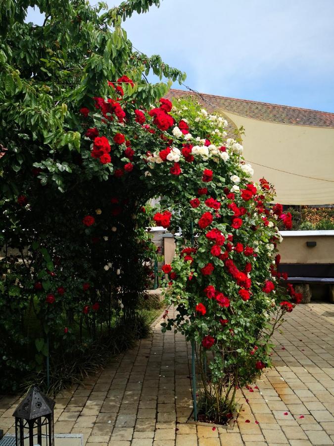 Gasthaus Rotes Ross - B&B