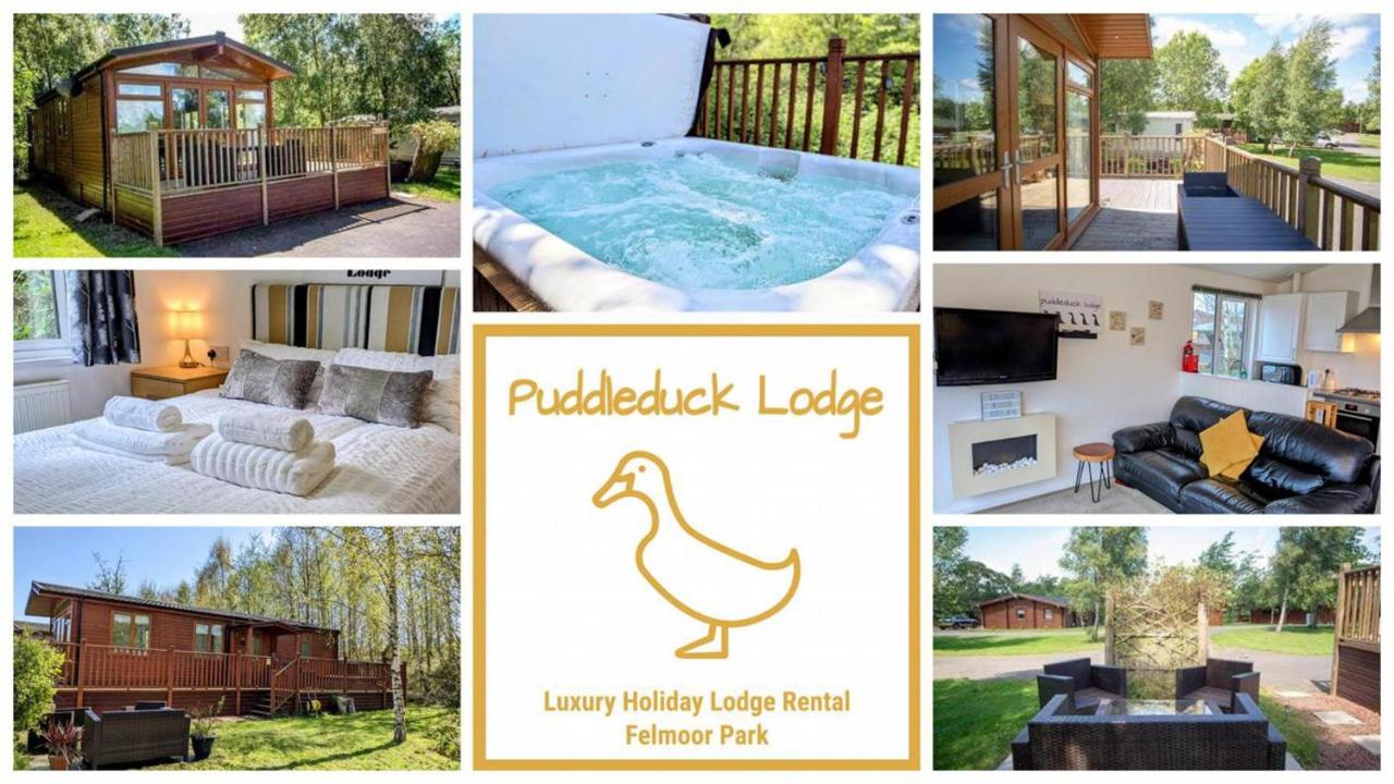 B&B Morpeth - Puddleduck Lodge with Hot Tub on Felmoor Park - Bed and Breakfast Morpeth