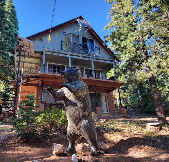 The Knotty Pine - B&B