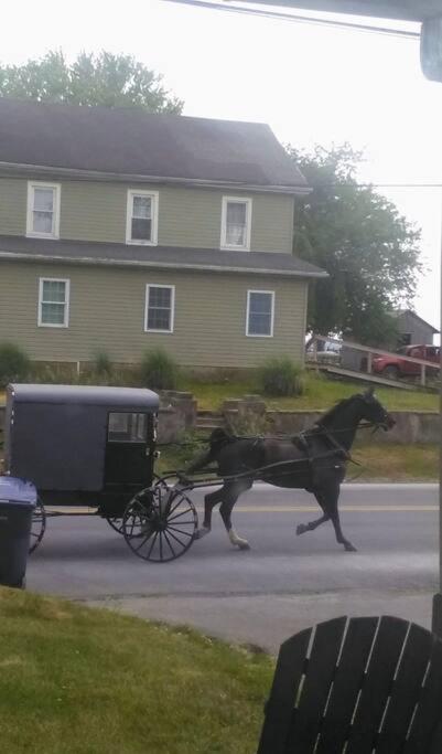 Amish Country Stay w/ Buggy Ride - B&B