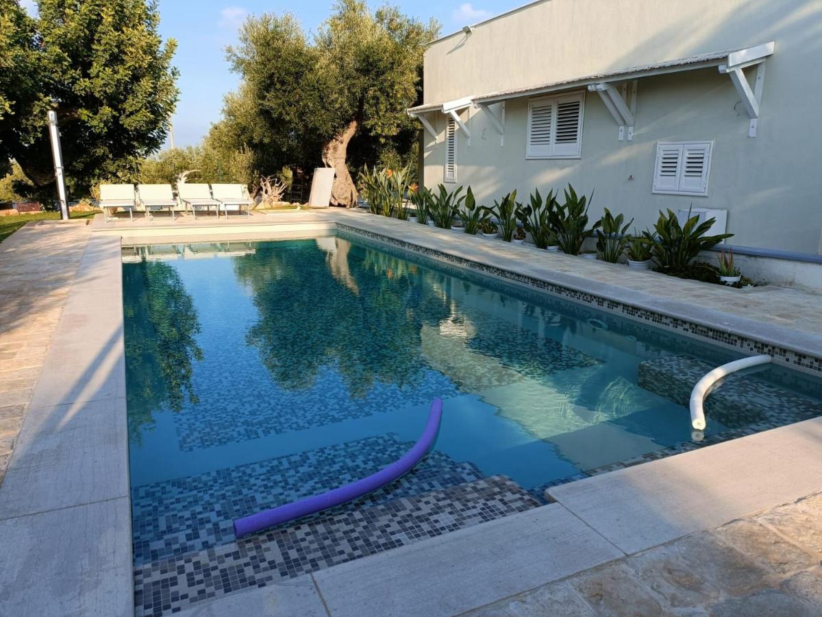 Il Vecchio Carrubo - Villa con piscina a sfioro - B&B Macchia al Monte