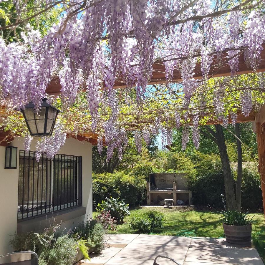 Old Willow - B&B