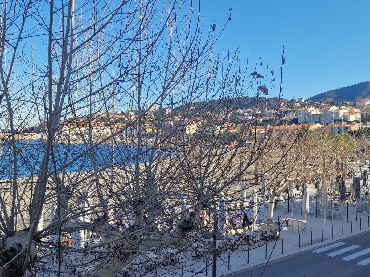 BANYULS, T3 climatisé à 50m de la plage, en centre-ville - FR-1-309-9 - Chambres d’hôtes