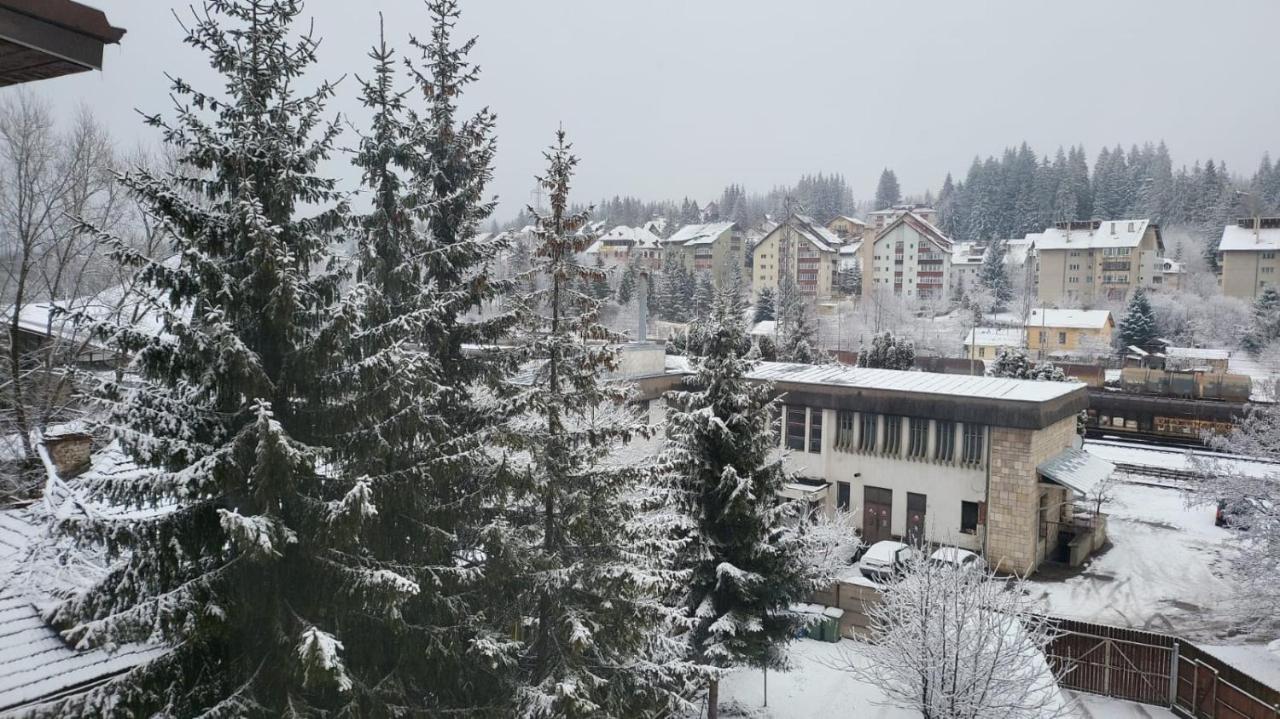 Central Apartament Predeal Nr 6 - B&B