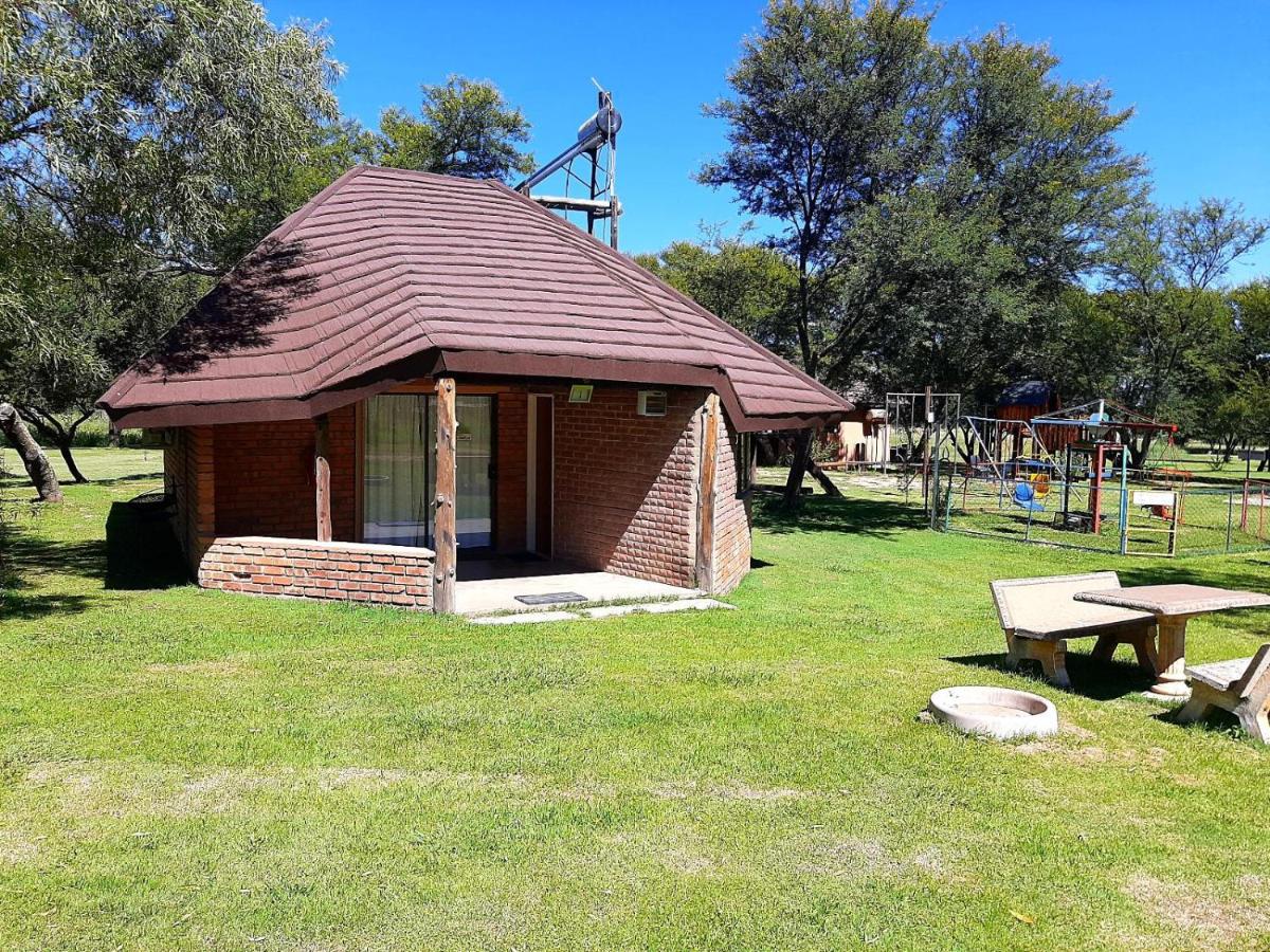 Lion's Shelter