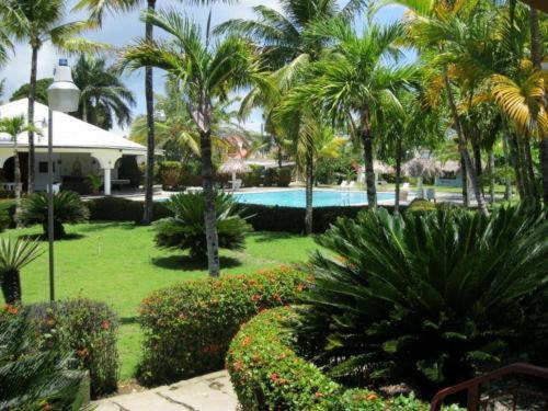 B&B Sosua, Cabarete - DIVERSITY HOTEL - Bed and Breakfast Sosua, Cabarete