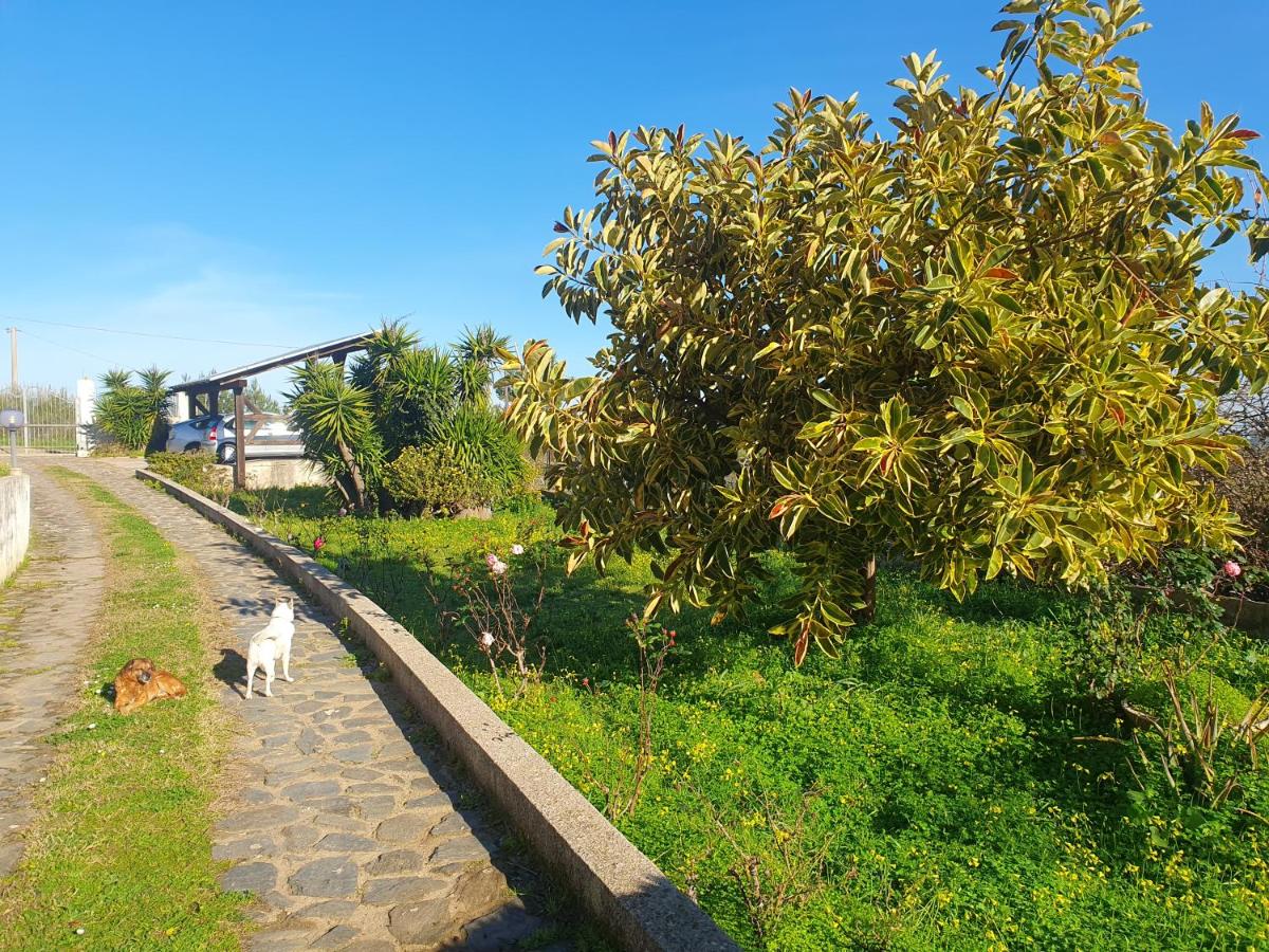 Asinara - B&B Sassari