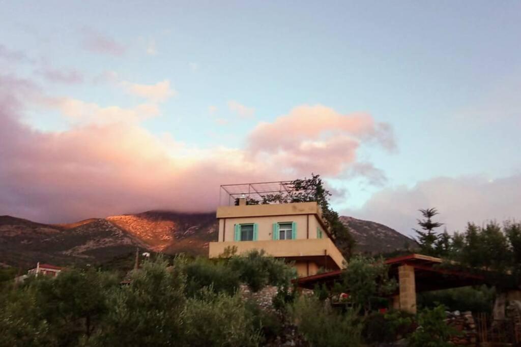 Poliana Tower - B&B