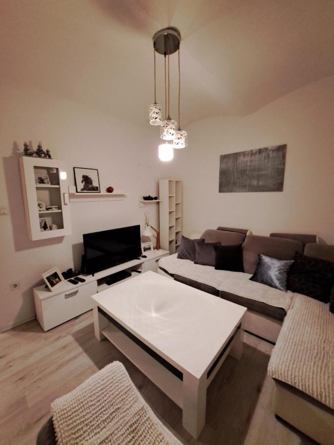 Apartment Skenderija Sarajevo Pet friendly - B&B Sarajevo