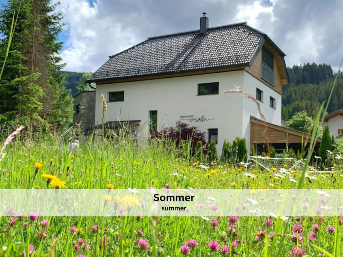 Apartments Viola Altenmarkt - B&B