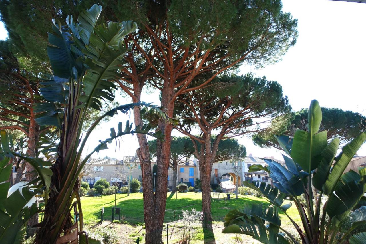 Entre mer et collines Appartement T2 - B&B La Londe-les-Maures