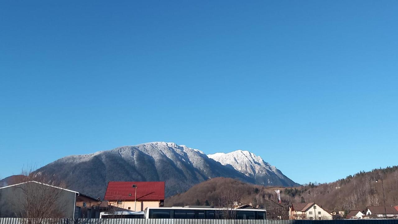 Piatra Craiului Residence Zărnești - B&B Zărneşti