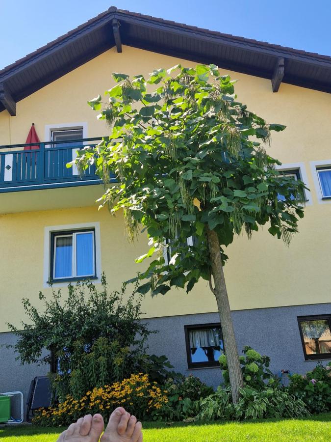 Ferienwohnung am Stadtrand - B&B