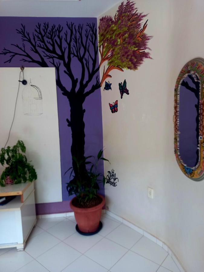 Verdes Hostel Palmas-TO - B&B Palmas