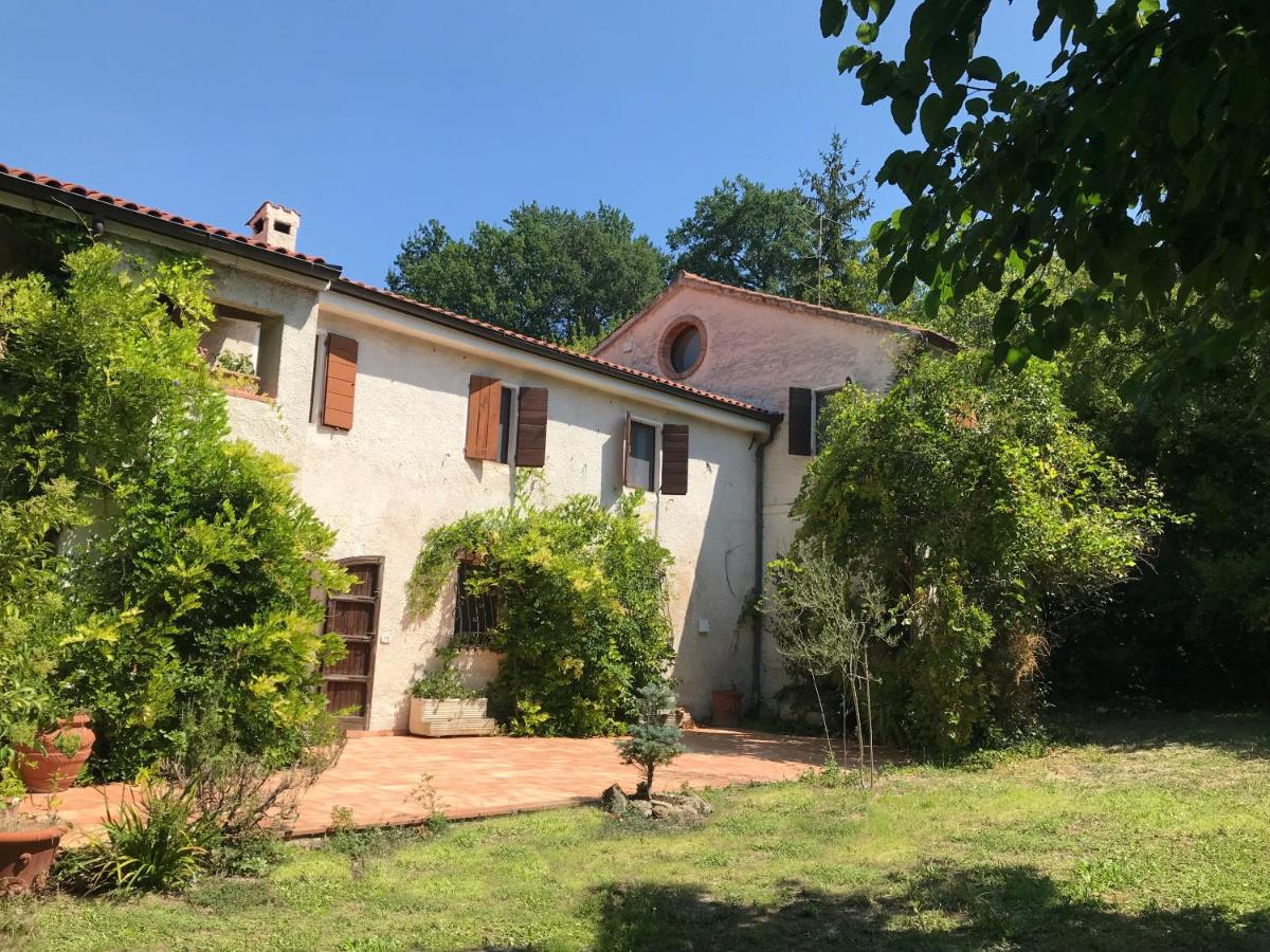 Apartment mit 2 Schlafzimmern und Terrasse