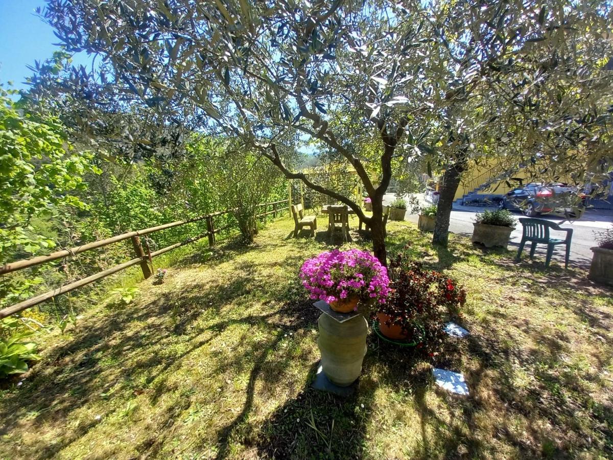 Il Giardino dei Pavoni - B&B
