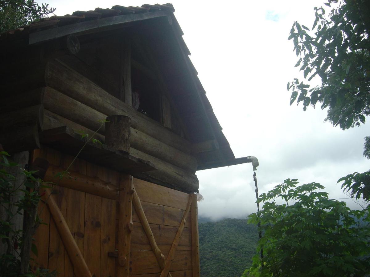Chambre Familiale avec Salle de Bains Commune