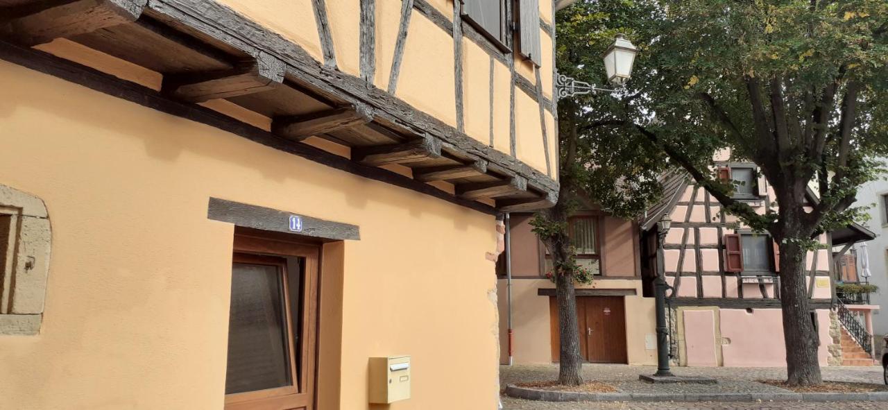 Coup de cœur en Alsace ! Proche Colmar et sur la route des Vins, Gîte de la Muse avec son jardin - Chambres d'hôtes Rouffach