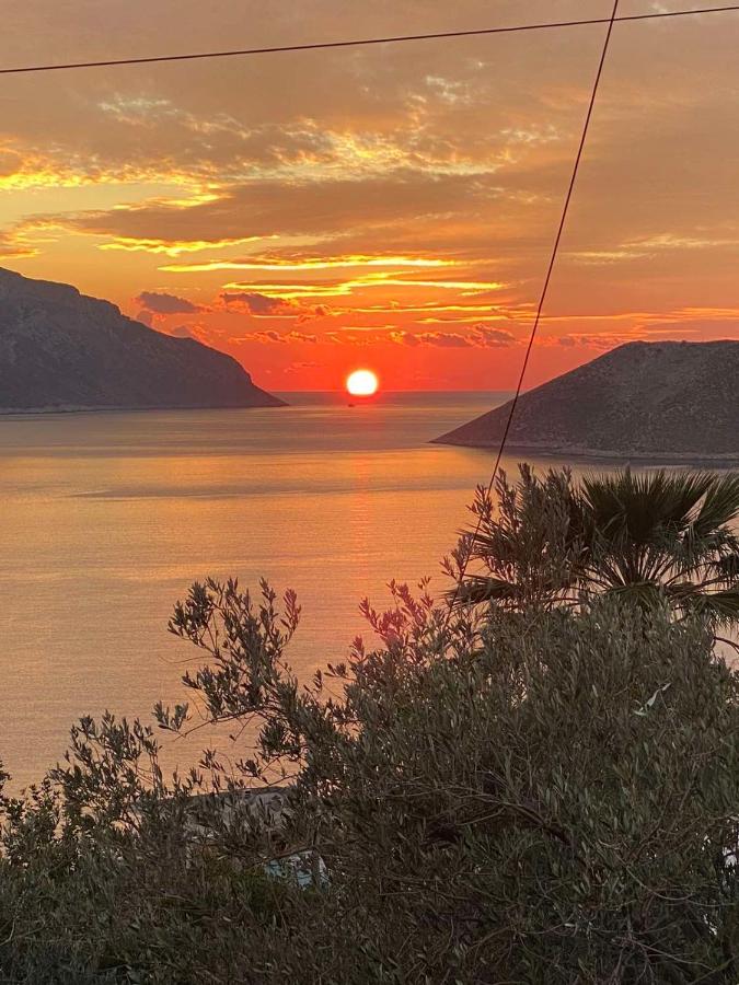 B&B Calino - The traditional house-Skalia,kalymnos - Bed and Breakfast Calino