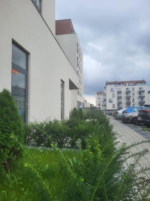 Appartement met 1 Slaapkamer