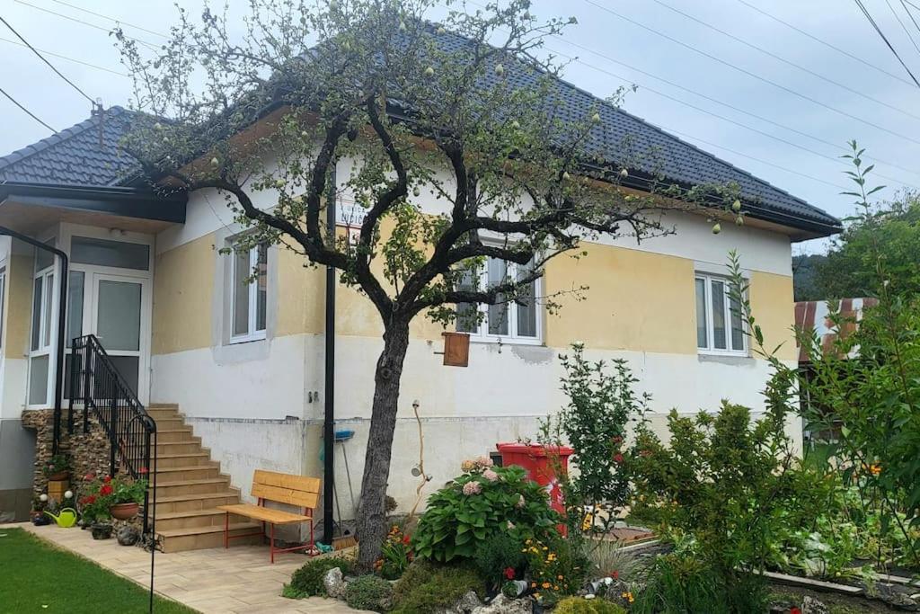 B&B Banská Bystrica - Apartmán u Aničky - Bed and Breakfast Banská Bystrica