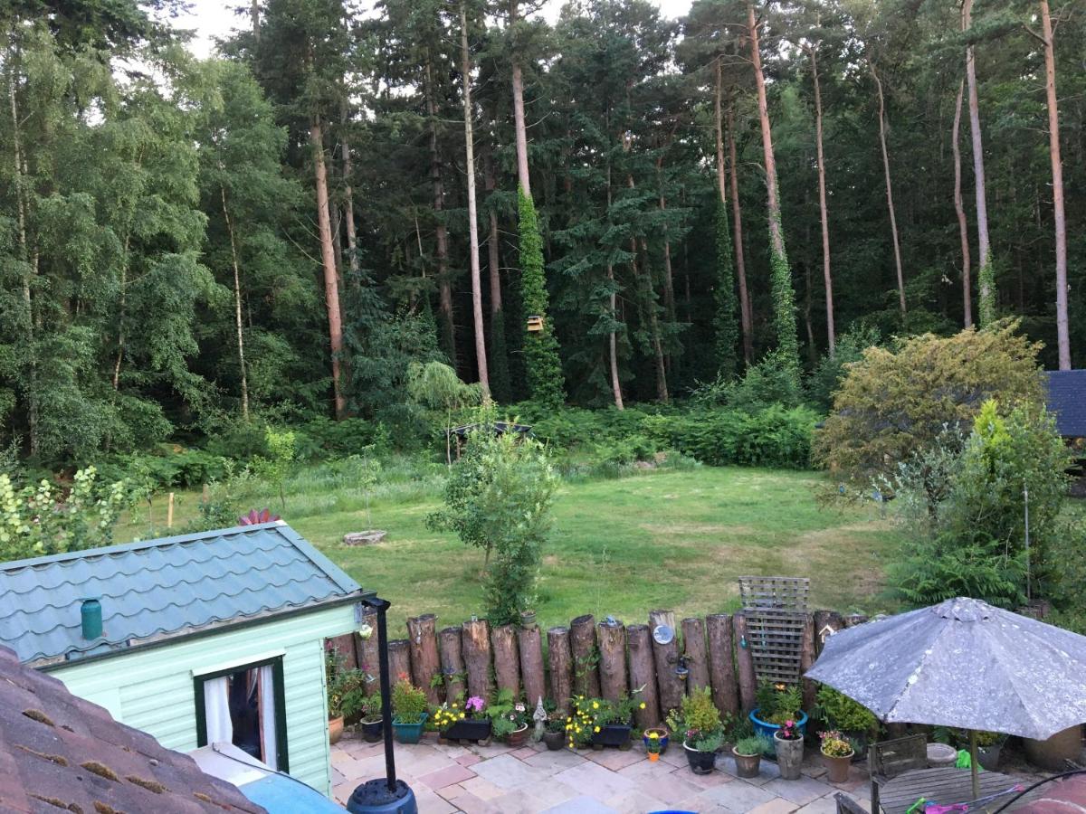 B&B Emsworth - Secluded Woodland Hideaway - 2 Bed with Private Parking - Bed and Breakfast Emsworth