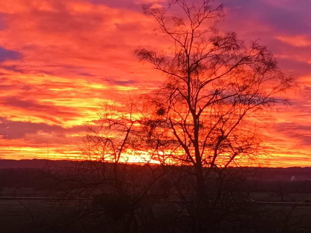 Sunny apartment in Pähl - B&B Pähl