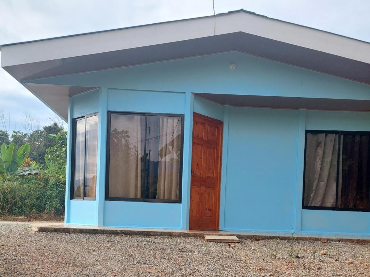 Jessie's Country House Rivas - B&B