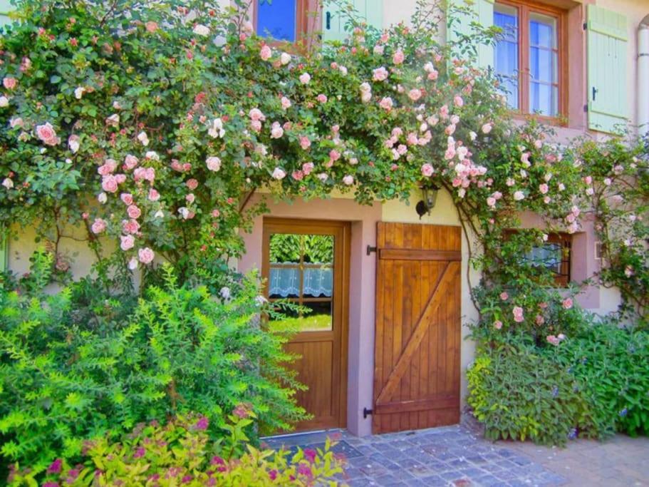 Gîte des Grands Clos - B&B