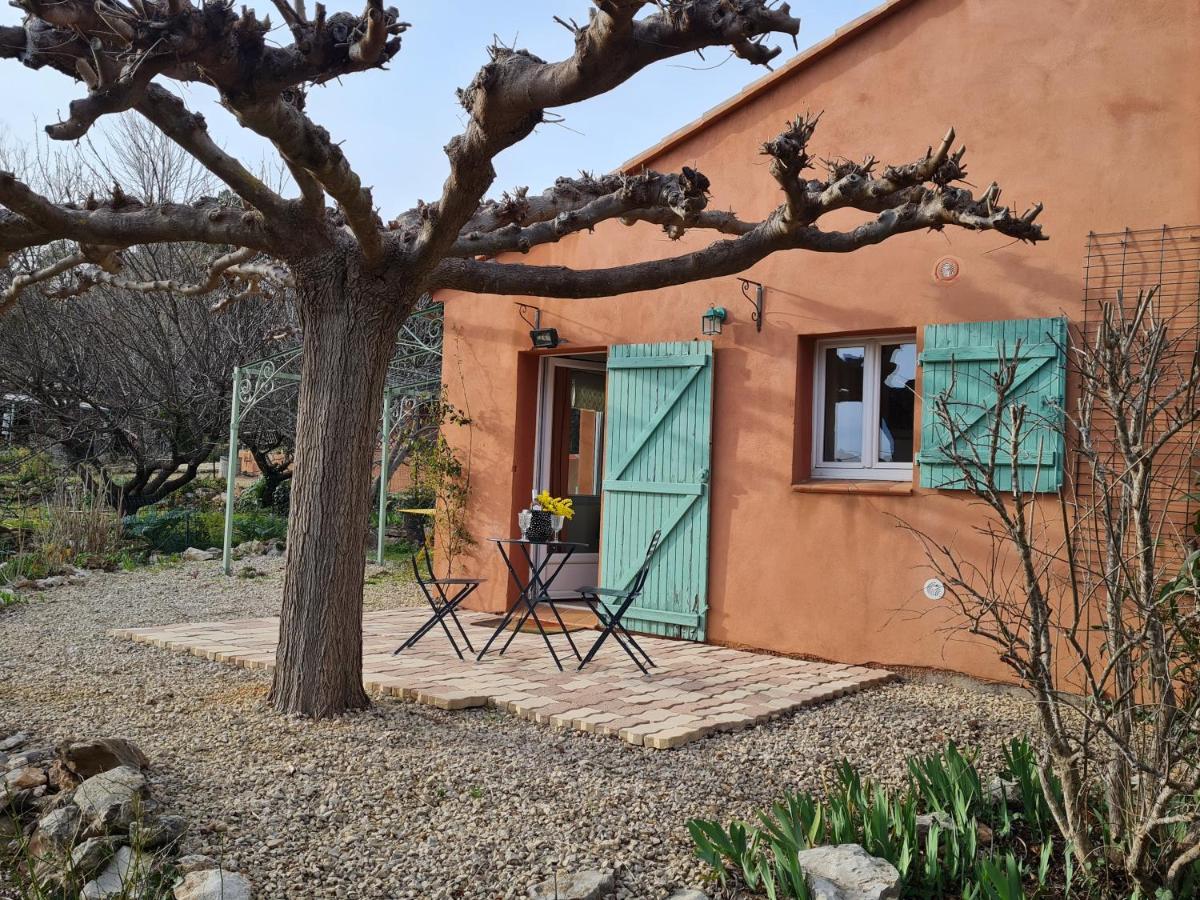 Maison d'artiste African queen - Chambres d’hôtes Cotignac