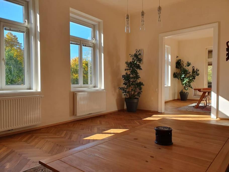 Neu renovierte Altbauwohnung im Herzen von Steyr 100qm - B&B Steyr