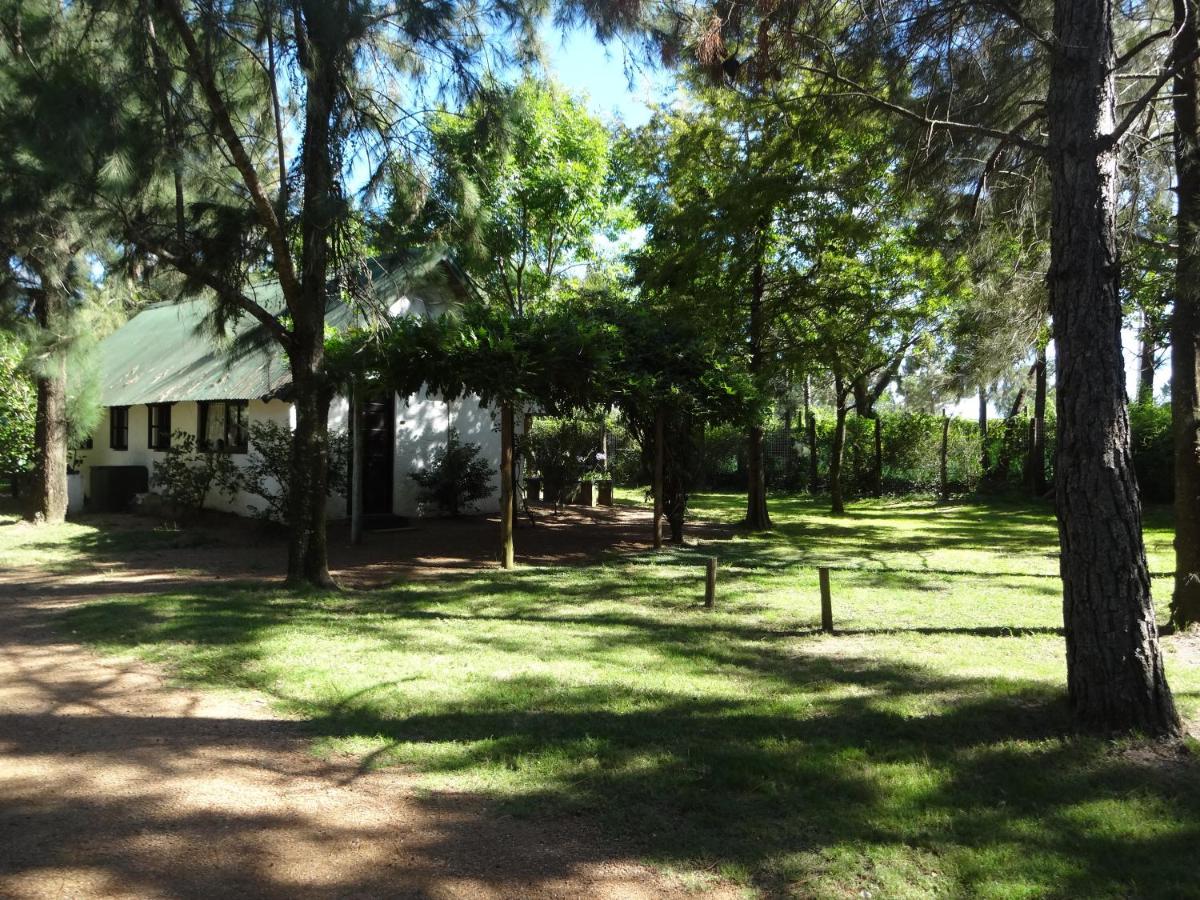 Bungalow (2 Adults)