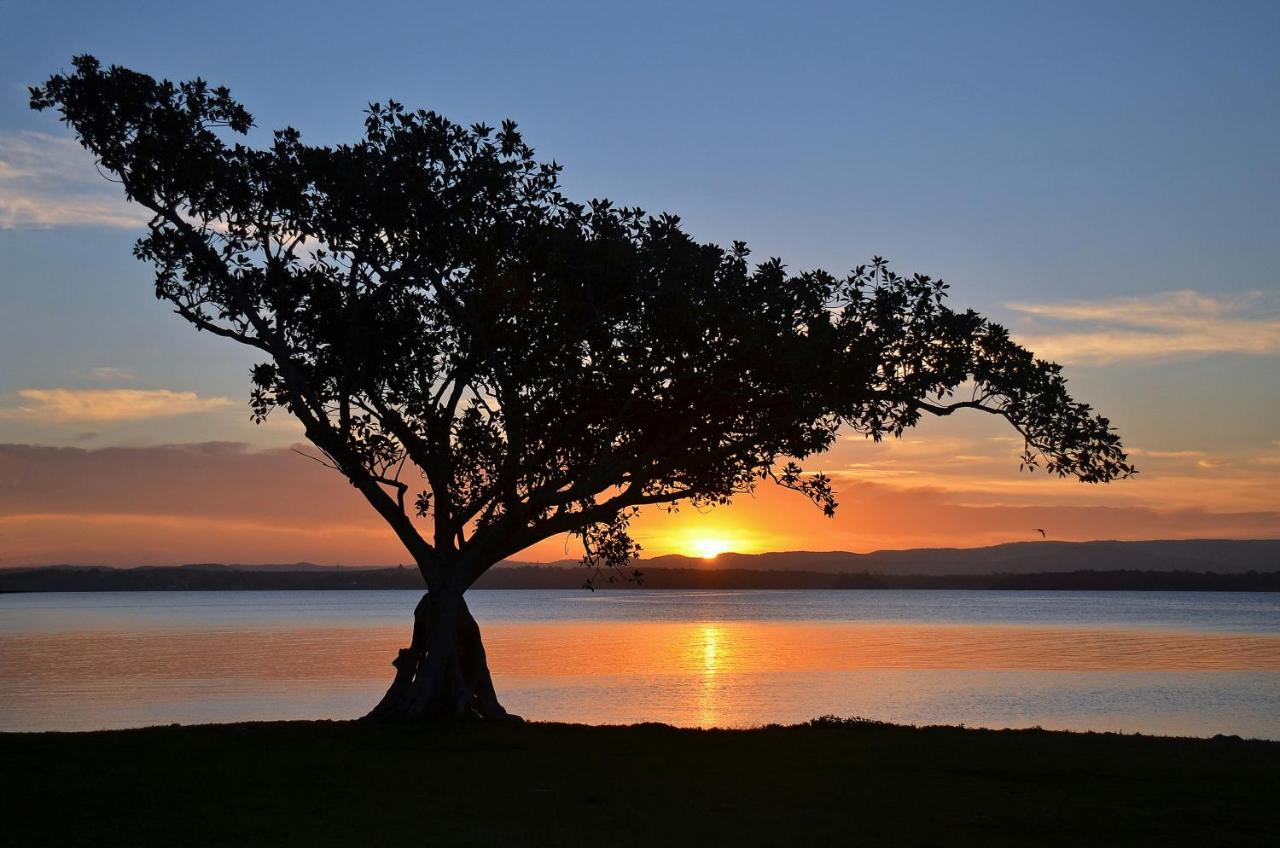 B&B Mannering Park - Lakeside Hideaway - Bed and Breakfast Mannering Park