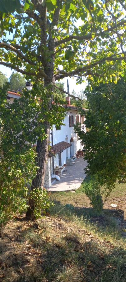 Casa Vacanza PALAIE COLLINE FIRENZE - B&B