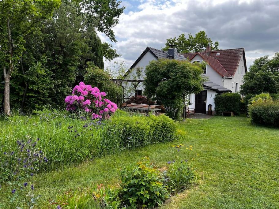 Idyllisches Gartenhaus - B&B
