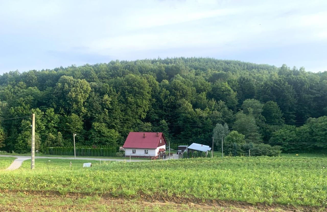 Domek pod lasem - Bed and Breakfast Kańczuga