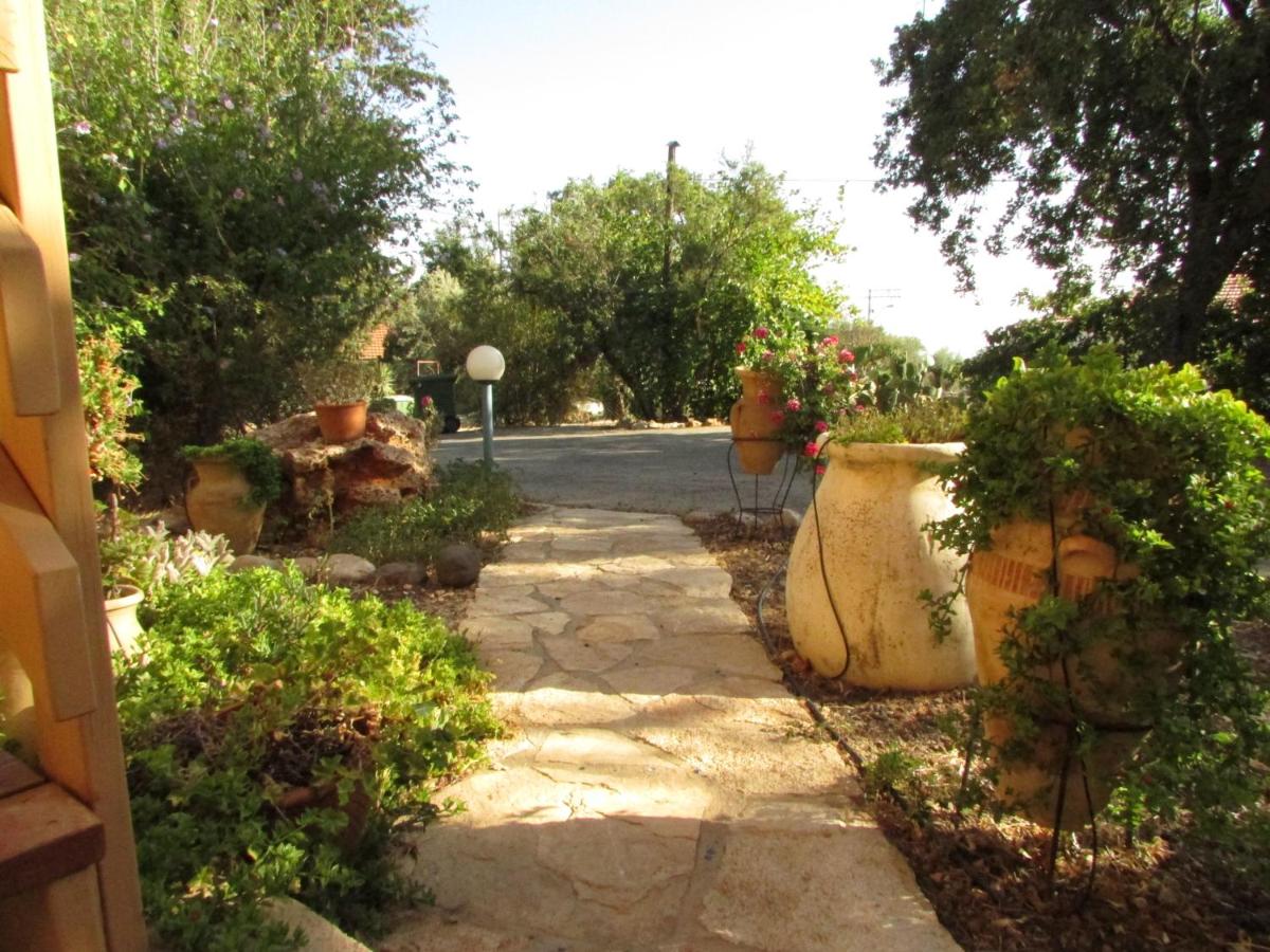 Aviv - Bakfar in Amirim - B&B