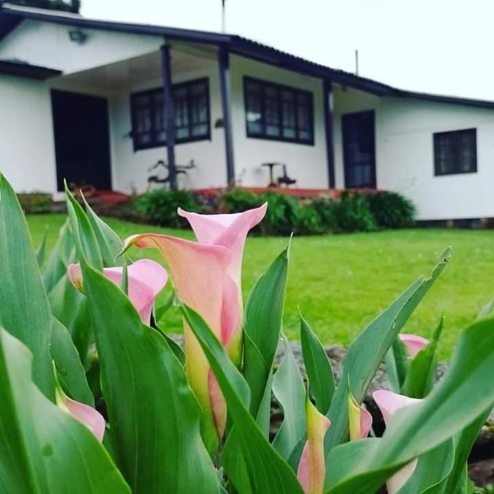 Pousada Morro Grande - Ferienwohnung