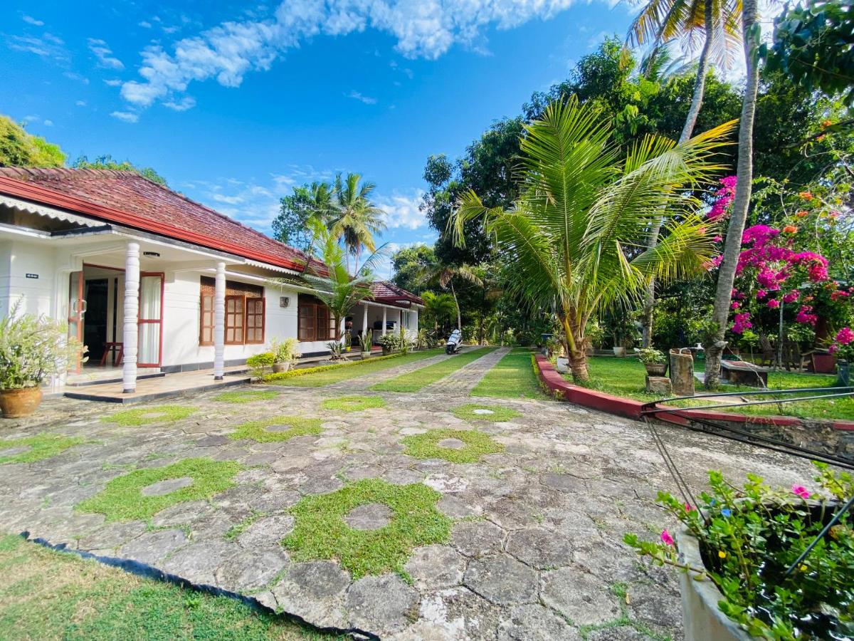 Home Peacock - B&B Mirissa city