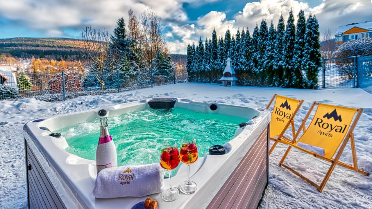 Apartament Cicha 11 VIP z JACUZZI, SAUNĄ i ogrodem by Royal Aparts - B&B Świeradów-Zdrój