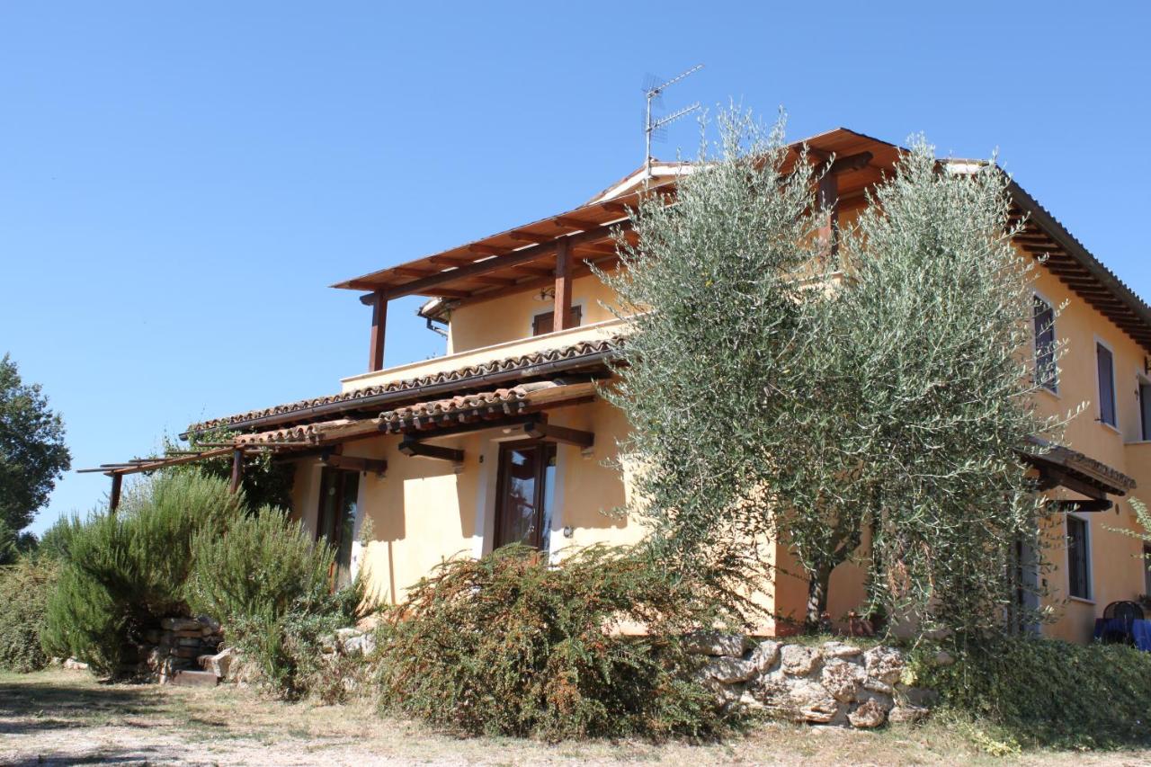 La Casa di Gelsomino - B&B